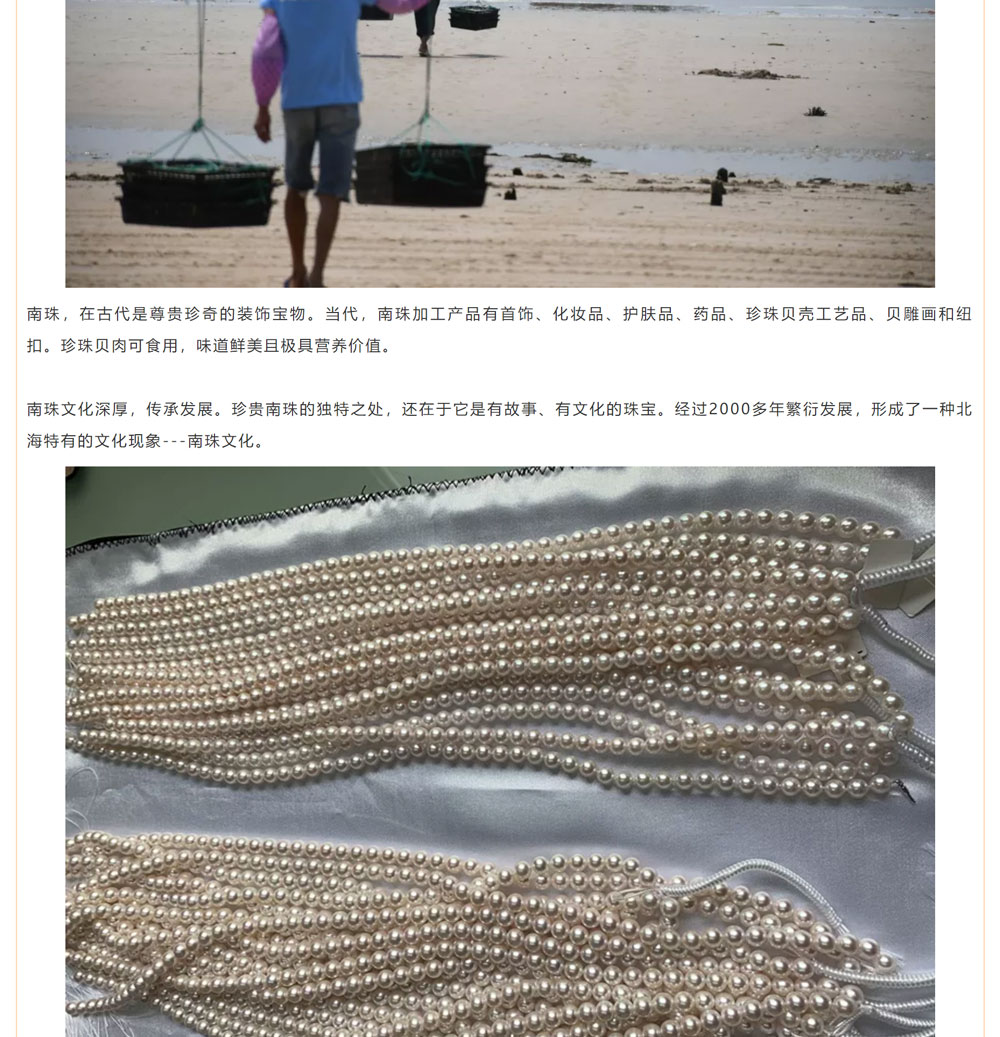 古老南珠，綻放異彩