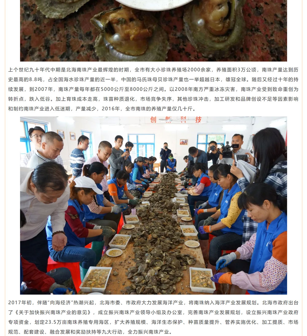 古老南珠，綻放異彩